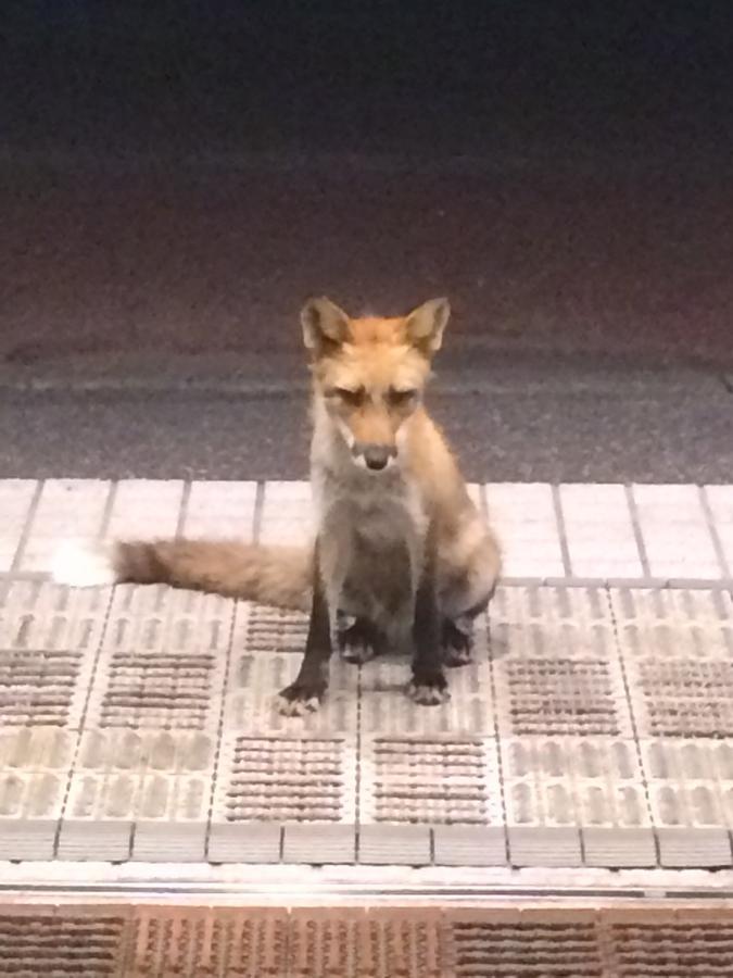 Hyosetsuso Hotel Wakkanai Esterno foto